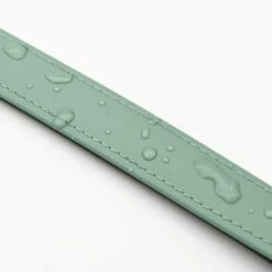 THE DOG IDEA Biothane Halsband Sage S 12 THE DOG IDEA Biothane Halsband Sage S -Zoofachgeschäft 40e4391cc0734ccbf14e51ec3a7d5f37f0783760 1674165 de DE cb3dd5b17ddd877c6ac1e75a3b6a793fa5187f4civjzmh