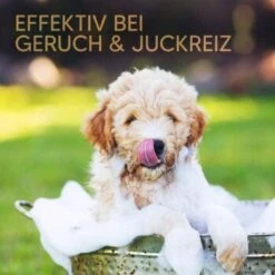 Pawlie's Welpenshampoo -Zoofachgeschäft 42f9c58257fb2002e5c33c2d81bd829c9adeb1cc 1626204 de DE 8b17d3990cf88ea437c76c60b6848183bc9636a5a44ihJ