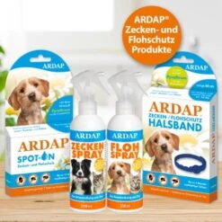 Ardap Zecken- & Floh-Halsband Für Hunde M -Zoofachgeschäft 43b73cc5afad7f63f0a027c3d4ca1aef52ee7ea7 1221081 de DE d407d339cf00e87e4d89af8fa252a32bc10551e0AftDGP