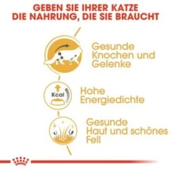 ROYAL CANIN Maine Coon 12x85g -Zoofachgeschäft 45de5de28bb0cf1702840672ec10e019d1069826 1229815 de DE rc 3