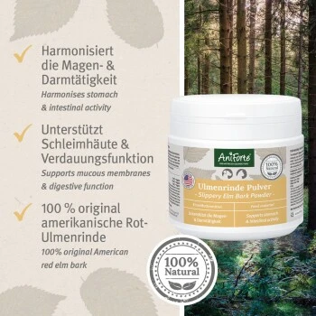 Aniforte Ulmenrinde 100 G 5 Aniforte Ulmenrinde 100 G – Bild 5