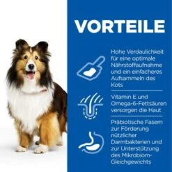 Hill's Science Plan Sensitive Stomach & Skin 14 Kg -Zoofachgeschäft 483fca32694437db10d13537a2ff4b29b37e688b 52742026091 4
