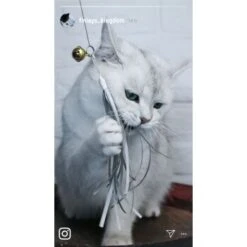 Kater Kasimir Deluxe Set Mit 9 Beliebten Katzenspielzeugen Aus Naturmaterial Und Handgemachtem CATMOM Armband -Zoofachgeschäft 49d8384c6a74394f96adcf0803dcc77b45c1e2cf 1408141 de DE b29a5f7f2530ce6388e16e2600369d70b2ec0350EyVUwU