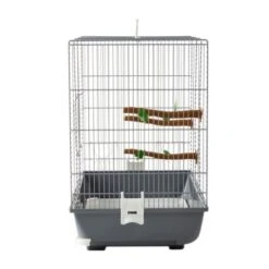 Savic Vogeltransportbox Primo 40 -Zoofachgeschäft 4aeda3786834925f746c438163a76ed4011f593f 12e655fdf65511fe56889f1815df1d72bb48c726