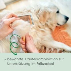 Fell & Haut Vital 150 G -Zoofachgeschäft 4b5f7de965eae94531d5560734f33444a0071a93 1049905 de DE 2d1bc3a540575105062fbc54df85eb515b459321CnG7ce