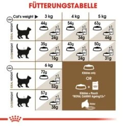 ROYAL CANIN Ageing 12+ Sterilised 4 Kg 12 ROYAL CANIN Ageing 12+ Sterilised 4 Kg -Zoofachgeschäft 4ce8eb38a167b532004afcb21e5f40042d29ae5a 1201903453cc527013bd50d4537b9f7016918cfe