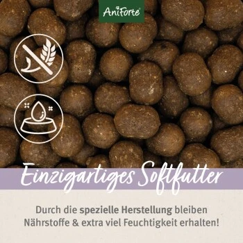 Aniforte Trockenfutter FarmsFamb - Herzhaftes Lamm Mit Süsskartoffeln 2 Kg 4 Aniforte Trockenfutter FarmsFamb - Herzhaftes Lamm Mit Süsskartoffeln 2 Kg – Bild 4