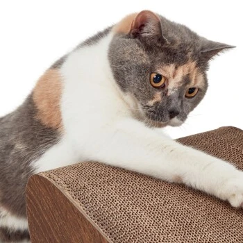 Canadian Cat Company Kratzbrett Satellite 2.0 Braun 6 Canadian Cat Company Kratzbrett Satellite 2.0 Braun – Bild 6