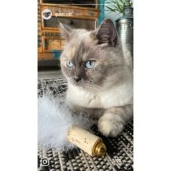 Kater Kasimir Deluxe Set Mit 9 Beliebten Katzenspielzeugen Aus Naturmaterial Und Handgemachtem CATMOM Armband -Zoofachgeschäft 53dfde9e2fe82dcabccac0c3ca73172551111df6 1408141 de DE 911e17a5e45692f3789ac8bc9aee946048898d74cBDD0E