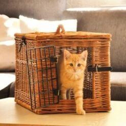 Aumüller Katzenhöhle Eckig 8 Aumüller Katzenhöhle Eckig -Zoofachgeschäft 55450489d235d9ce83ff96cc8b4e3c05d5f9850a a4c4ea7cad20b9a0abc8b1ae89e0fbac9d4fe21f