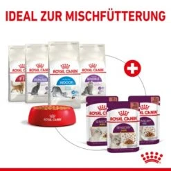 ROYAL CANIN SENSORY Taste In Gelee Für Wählerische Katzen 12x85g -Zoofachgeschäft 568b3c97dc75b630cb8553b47c690f1b60ec1147 2eb8c2e403a7d9180bf5ffc8ee25035aa1ddb615