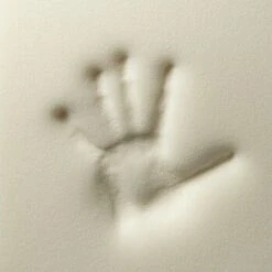 Rexproduct Otto Orthopädisches Hundebett Dunkelblau S-XL Dunkelgrün S -Zoofachgeschäft 570349f41587d31b10a65c2e1f7c454db29b39b9 1499832 de DE 4a05f204198aead29f7c6fcb2b828fd649f99213DTOwd2