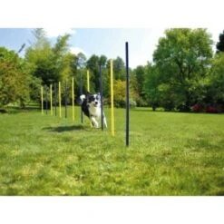 AniOne Agility Set 17 AniOne Agility Set -Zoofachgeschäft 57d0a4066068001e9199a8836922b7a9a69a9a13 5b90fc3282e3f36a151043eb4999c7a431fb4558