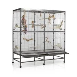 Montana Cages Voliere Paradiso 150 Hellgrau/ Dunkelgrau -Zoofachgeschäft 57d765c5251d220f7fb80b9e17dd7c30bed7aa9a 1330426 de DE 32a0a07122e2d2167ed99c854ac82bd80c6ddd4fR7g0HT