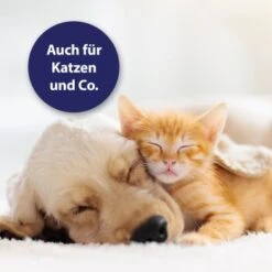 Canosept Wundgel Für Hunde 20 Ml 10 Canosept Wundgel Für Hunde 20 Ml -Zoofachgeschäft 5d4c199a49c693b9c380251c996bb904b5343365 1373080 de DE 250659 Canosept Wundgel Faltschachtel Tube DE 1600px 300dpi Contentbild01 4