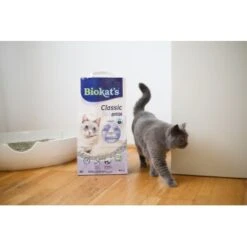 Biokat's Classic 3in1 Extra 14 L -Zoofachgeschäft 5d52880c5f6cb6a968c367a4df6d22f3606a92d3 1422137 4