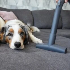 THOMAS Perfect Air Animal Pure -Zoofachgeschäft 603137fb8b3080096fe34bb0ce0b35713a0081ec 1406731 de DE 61ffd08a4c243aaa506c87a5b11107f7ffeaf308tEO6cw