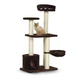 Silvio Design Kratzbaum Molly -Zoofachgeschäft 605cb6718cffe169f7a2cc35d6eeab7bd09ee96b 8eb10806c380c9957ce19d0fdef05ba9a0161050