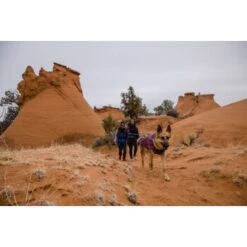 Ruffwear Overcoat Fuse™ Hundejacke Violett XXS -Zoofachgeschäft 63f0f6c2ce316cb05ad8327a81fc0693c061f7c9 1639761 de DE c1f94f51e318dc9402504b3760a5b7d8c990fb78cnSRrn