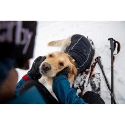 Ruffwear Cloud Chaser™ Hundejacke Schwarz XXS -Zoofachgeschäft 663863851733872c9a7a7a5137c57cadf708e304 1369623 de DE 51d1c132eb566a7eb9e278708f64567d4e47a10eLvqV28