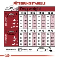 ROYAL CANIN Medium Adult 7+ 15 Kg -Zoofachgeschäft 686751bdd0fdfc0446e0c0dcba622f646feb7b98 100311200 de DE rc 2