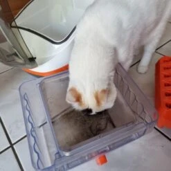 THOMAS Staubsauger -Zoofachgeschäft 6a70c632a0bab42059bec4b43d139a5d2e40f9ae 1406733 de DE e7e44b3ec14bf6f4d989c5887e4e07bdd5895c48xakBwm