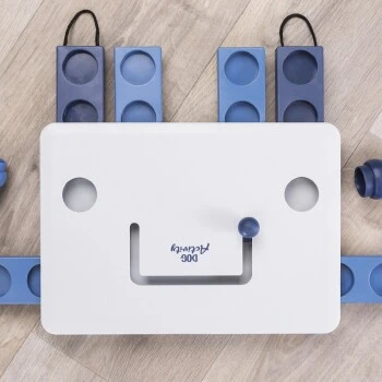 Trixie Dog Activity Move2Win 3 Trixie Dog Activity Move2Win – Bild 3