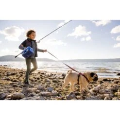 Ruffwear Front Range™ Geschirr Rubin S -Zoofachgeschäft 6e32be207c67c2574683630df82968507bc4c677 1651482 de DE 4df48129b099e5ffb8e84cb1b098d1304fc9cb0cGnR6Nb