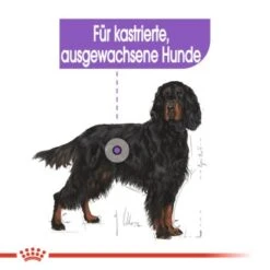 ROYAL CANIN Sterilised Maxi 12 Kg -Zoofachgeschäft 6ebba30103677b140267651b6c1cc3e27c295bec 1376254 de DE oajs 5