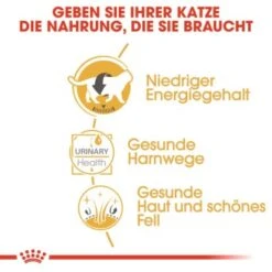 ROYAL CANIN British Shorthair 12x85g -Zoofachgeschäft 6f1dc92b9b52a43d2267d34aab253596e7be143a 7f0fd40bf73b9dd0972df6cd9651a951bdb28212