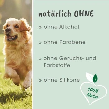CdVet Ohrenpflege 50ml 6 CdVet Ohrenpflege 50ml – Bild 6