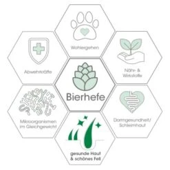 Fell & Haut Vital 150 G -Zoofachgeschäft 70d5facb186b381b20f4b60599e8ef87b7702a47 1049905 de DE 79c696d7ef6e7ff51d7da320d55601dcd109d761GPV9bb