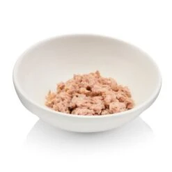 Canadian Cat Company Futterbar Cat Diner 13 Canadian Cat Company Futterbar Cat Diner -Zoofachgeschäft 7374ea0a9e3fe9347681d73e38cfddf88778c4d9 1345694 de DE 736a30d8934edf90c8b01e1b34a29dff5e81dab2o6VK2t