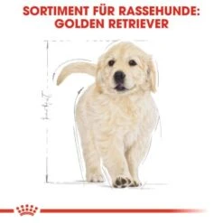 ROYAL CANIN Golden Retriever Puppy 12 Kg -Zoofachgeschäft 73c01baa5617d8e4eefc140421f005671443a632 2410f5454822a7466dc6948215a65959073407bf