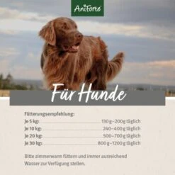 Aniforte WildBuffalo Büffel Mit Spinat 2,4 Kg -Zoofachgeschäft 74fabe08661b127a19cecb43c5d981b64161f452 1422176 de DE ecf8c646fa9f7a73ce2de360e52f7434941d6424M3kGzG