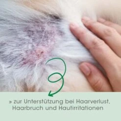 Fell & Haut Vital 150 G -Zoofachgeschäft 756199d8c9bc1fc4fc6f9777425d928b34547bc6 1049905 de DE 6976be24cc530271e920aadc6d37e007742fe9acIGQoY8