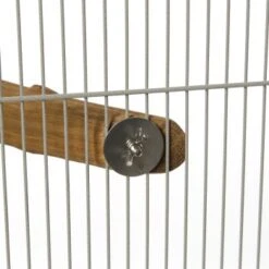 HappyBird Eck-Sitzst Rainforest Corner Perch XL 5 HappyBird Eck-Sitzst Rainforest Corner Perch XL -Zoofachgeschäft 75e6d54575ca8b2892a75de8459fb2337e93d6fa 1416836 de DE 6c69ea675004293917d32ca895518145a4e02fa1ona8CG