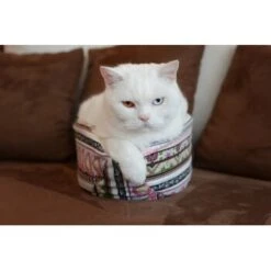 Canadian Cat Company Katzenschiff MAJA -Zoofachgeschäft 766deb875332e5f5e0863d1a2d85001bb4ef9b90 1412668 de DE bd0dc038d80f4f0d2f7a8d881a21a125e897f0d3Dfo1wn