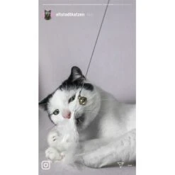 Kater Kasimir Premium Katzenangel Mit 4 Handgemachten Anhängern Aus Naturmaterial -Zoofachgeschäft 770b4a4773ed49d435287f5ac0f03f94a117604e 1408150 de DE d77919138410a09ab67416f25ec15e6664e9d2ac4JZFQJ