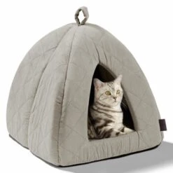 MORE Höhle Diamond -Zoofachgeschäft 7939acaef98cdb9195a642e4ff359691740fc0e9 84dbe0d60d2ca1e5170055a2164cc0d47aaedf72