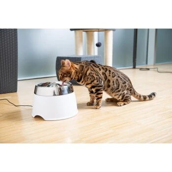 AniOne Edelstahl-Trinkbrunnen Trevi Ohne Ersatzfilter 3 AniOne Edelstahl-Trinkbrunnen Trevi Ohne Ersatzfilter – Bild 3