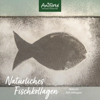 Aniforte CollaMove Kollagen Dog 250 G 3 Aniforte CollaMove Kollagen Dog 250 G – Bild 3