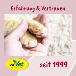 FeliTATZ FellGlanz -Zoofachgeschäft 7b983d72d2823b0db9ac615f4b9eda9a9cc31838 1666313 de DE bfdb4b813f4d094cdfef4c88f0fa4e20008c32c8J2LDce