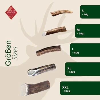 ChronoBalance Rothirsch Geweihstange Halbiert 50 G 5 ChronoBalance Rothirsch Geweihstange Halbiert 50 G – Bild 5