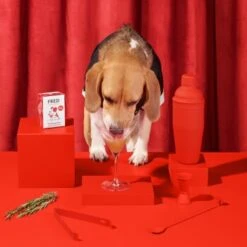 Fred & Felia FRED 10x200g Dog Drink "Wuffmopolian" -Zoofachgeschäft 836bfb6dd73194a62db73e72df2a3ff6435c8521 1422080 de DE 8b70b618129e9c036f3d4ca21a7cc2907535bb5dk5tCe1