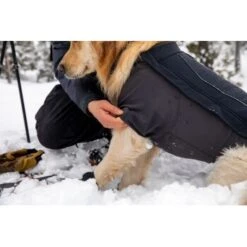 Ruffwear Cloud Chaser™ Hundejacke Schwarz XXS -Zoofachgeschäft 839577c6525280e266f62f99f67ccc111fd75c4b 1369623 de DE 87ed046f15d6c099e4f33a0b92b8494c495a6d97bF4WS9