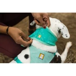 Ruffwear Swamp Cooler™ Kühlendes Halstuch Blau/ Türkis XXS -Zoofachgeschäft 84380b323534f706adb064c5f59bfe1f6f8adfcb 1639914 de DE 09b76313830836f68f333eee06c0a6bd83fbeec4Hirkw3