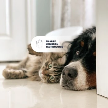 KYVETIN Spray Skin Repair Für Hunde Und Katzen 7 KYVETIN Spray Skin Repair Für Hunde Und Katzen – Bild 7