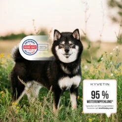 KYVETIN Spray Skin Repair Für Hunde Und Katzen 12 KYVETIN Spray Skin Repair Für Hunde Und Katzen -Zoofachgeschäft 855eb3c7fca7c841451cde094ef9ccbea4bfbca8 1364195 de DE KyvetinSpray 5