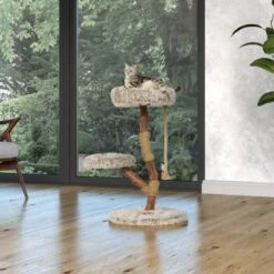 Neu eingetroffen -Zoofachgeschäft 87f0327374e5809e6ea9f0a09dbc2d6a0f7e7402 1407289 Milieu MF K